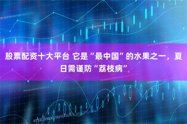 股票配资十大平台 它是“最中国”的水果之一，夏日需谨防“荔枝病”